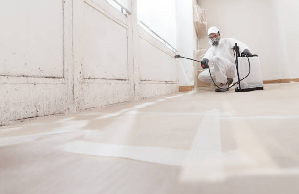 24/7 Emergency Mold Remediation experts in Wheaton, IL