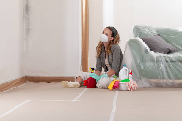 Reliable Mold Remediation contractor in Wheaton, IL by WQB Mold Removal